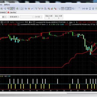 MP192. W-Trading System W交易系统